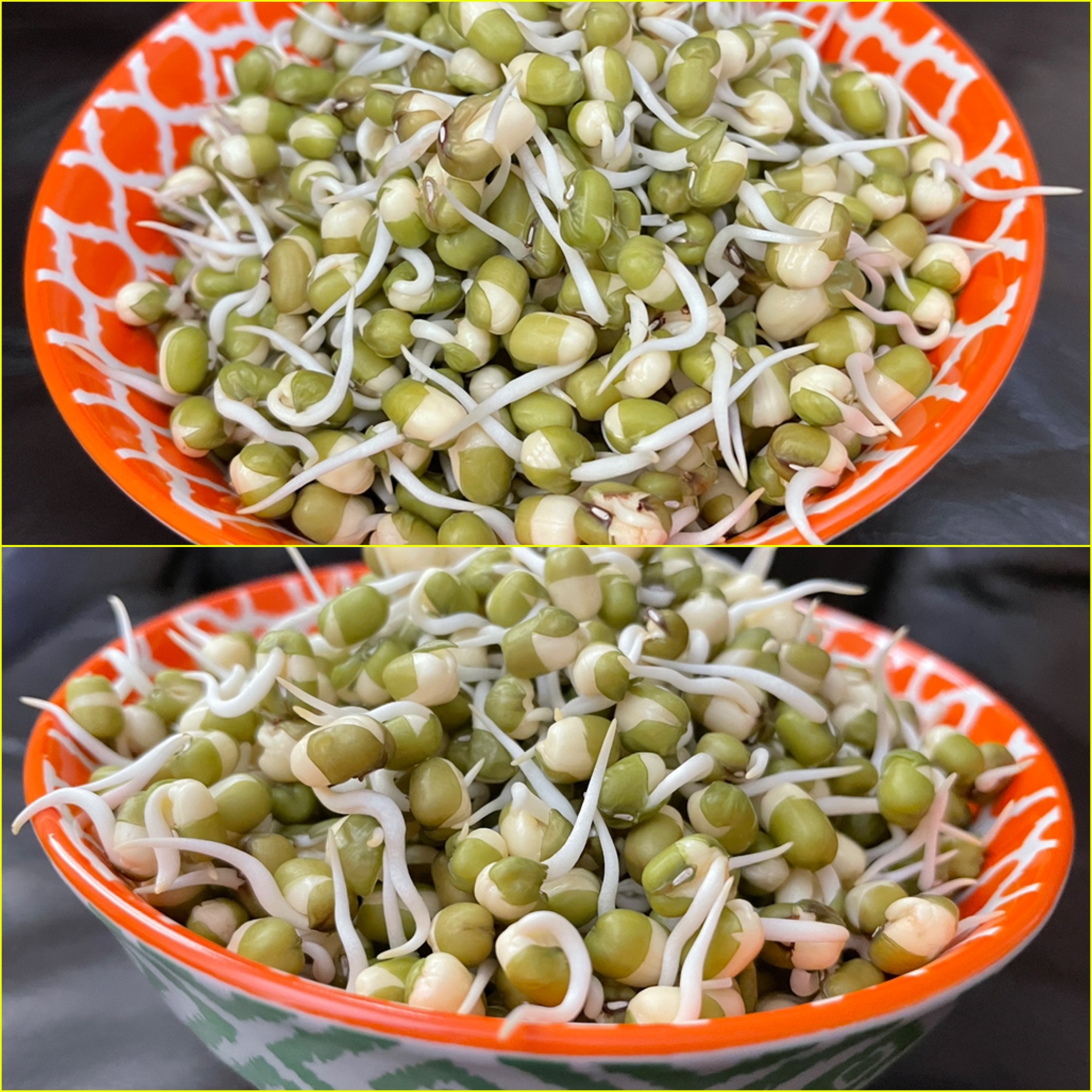 Mung Bean Sprouts - Just 2 Step Recipe • Eat Write Create